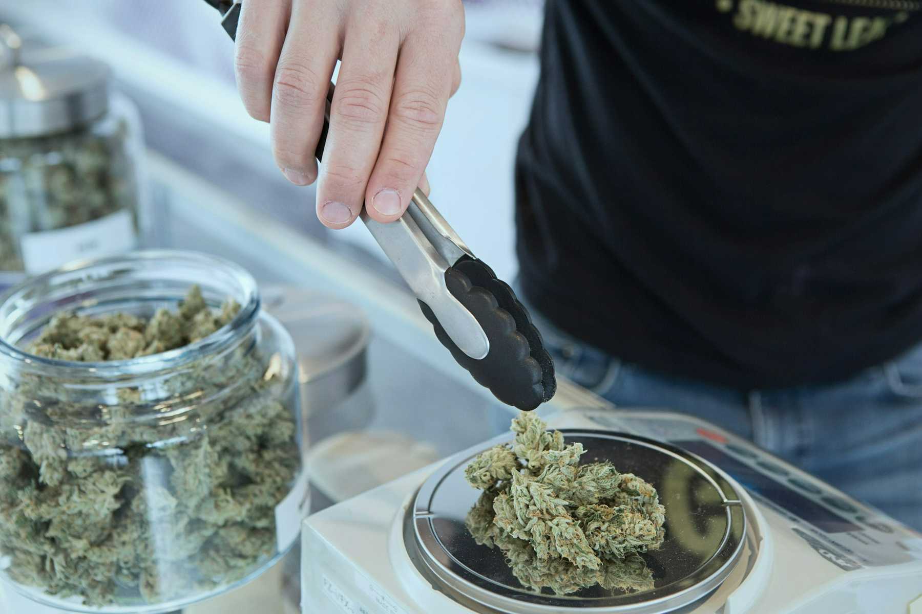 Weighing cannabis buds at a dispensary.