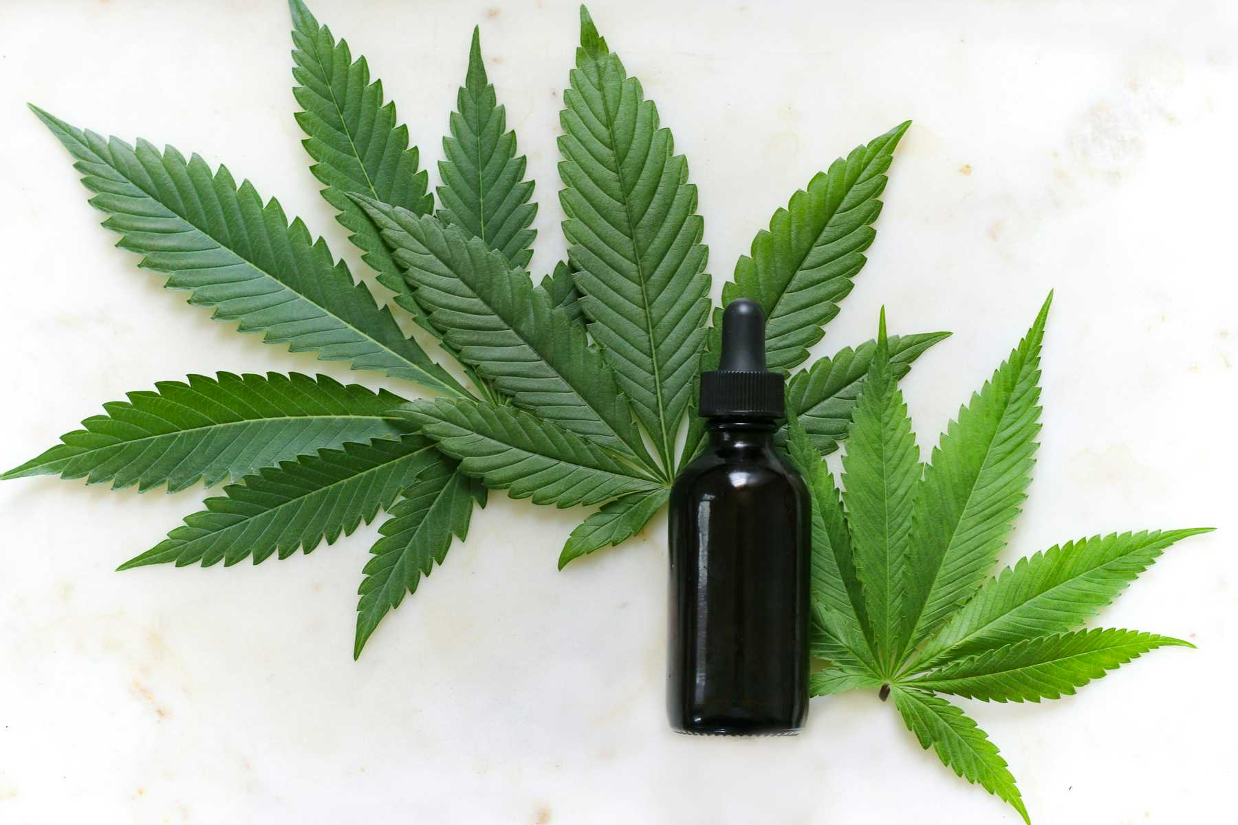 Cannabis leaves with CBD oil dropper bottle.